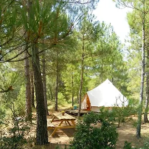 Campo de lujo Forest Days, Navès